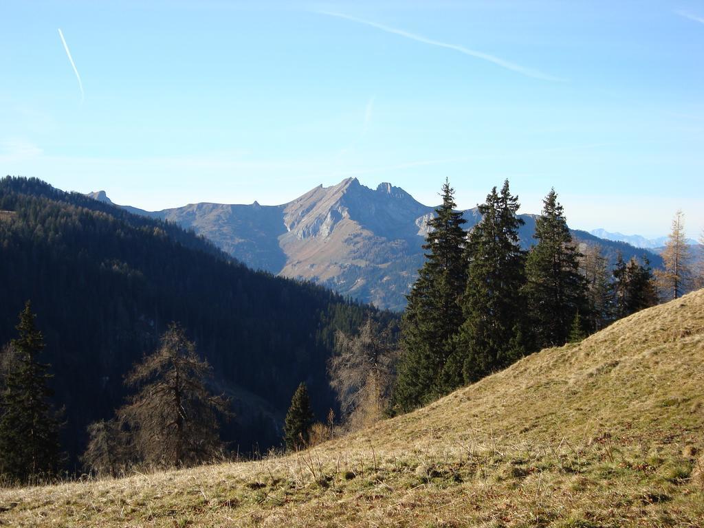 Appartementhaus Schuetzenhof Schied Grossarl Exteriör bild