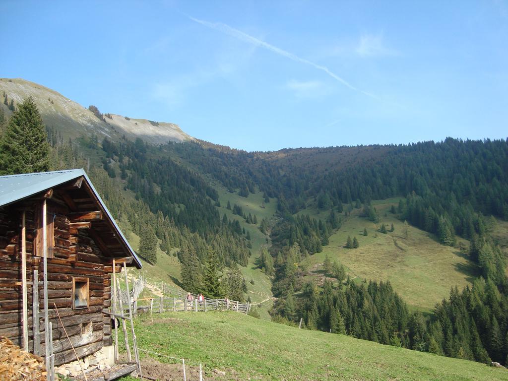 Appartementhaus Schuetzenhof Schied Grossarl Exteriör bild